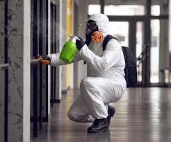 Best Industrial Mold Remediation  in Calumet Park, IL